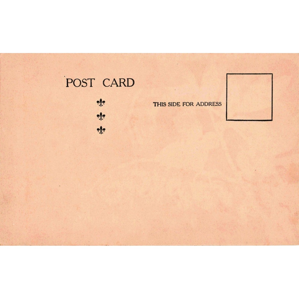 1907 C Eckstone Antique Humorous Postcard Weather Forecast Slightly Hazy VG - Picture 2 of 2